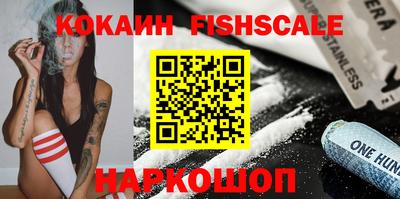 индика Камышлов