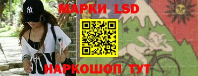 индика Камышлов