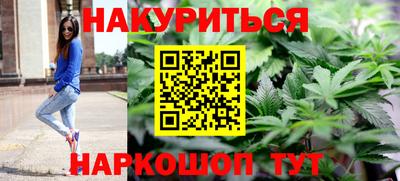 индика Камышлов