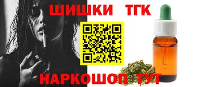 индика Камышлов