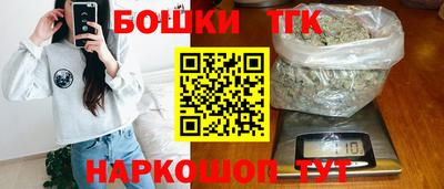 индика Камышлов