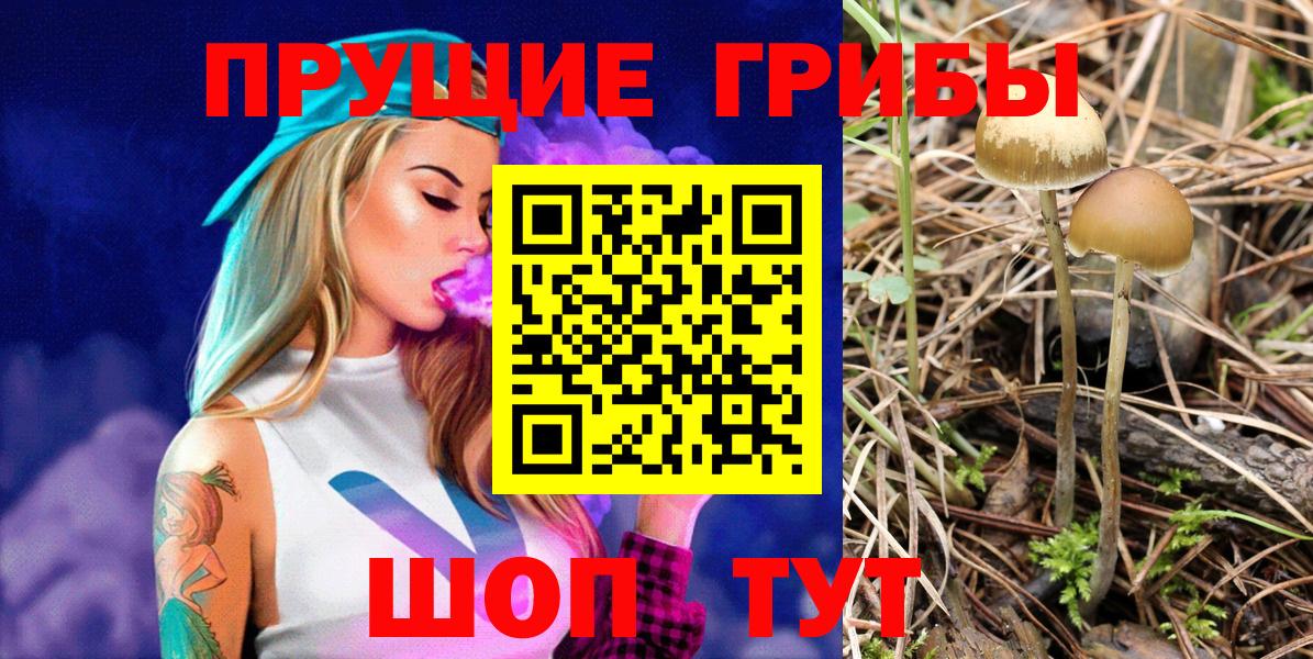 Рязань  Псилоцибиновые грибы GOLDEN TEACHER  Галлюциногенные грибы Magic Shrooms  Вход с VPN 